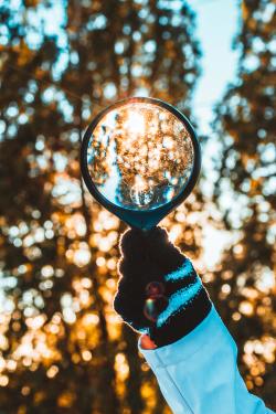 magnifying glass held up to trees and sunlight