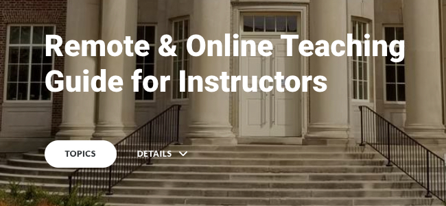 Decorative image: Remote & Online Guide for Instructors