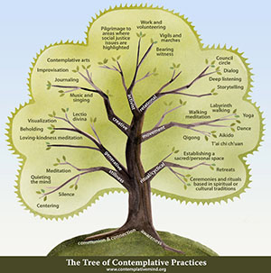 The Tree of Contemplative Practices